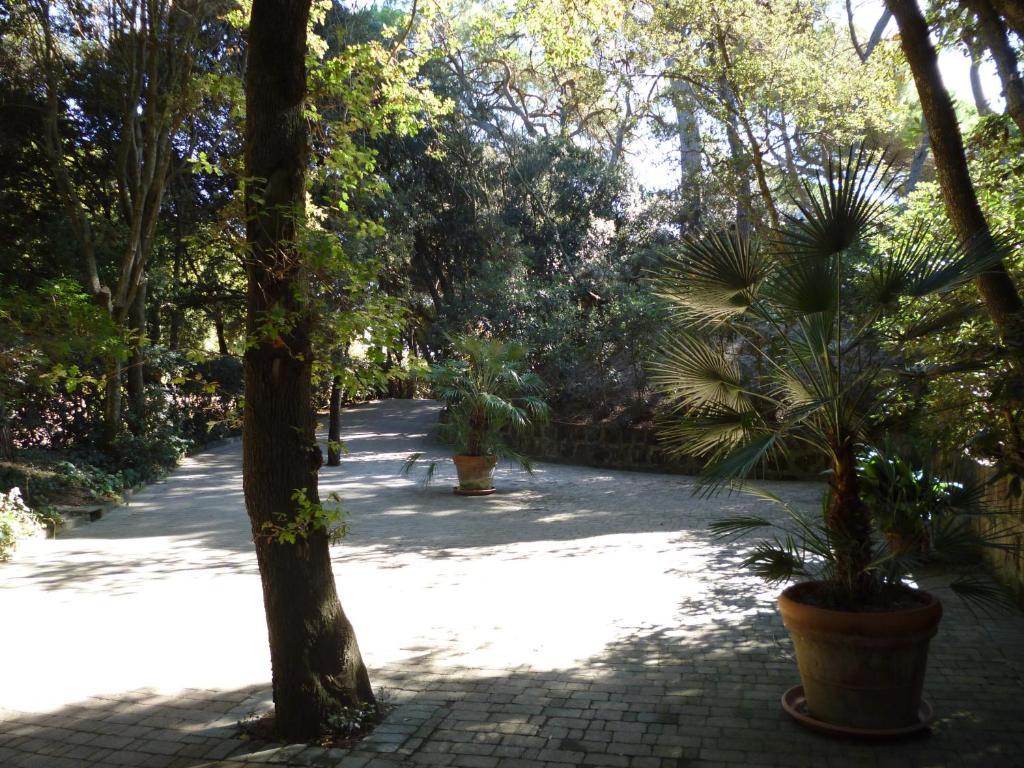 Baia Etrusca Resort Riotorto Szoba fotó