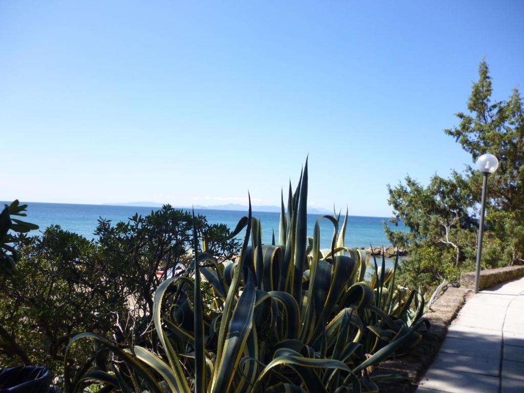 Baia Etrusca Resort Riotorto Kültér fotó